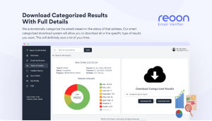 Reoon Email Verifier review