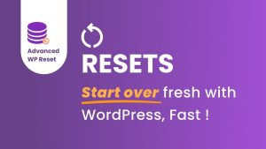 wp reset review
